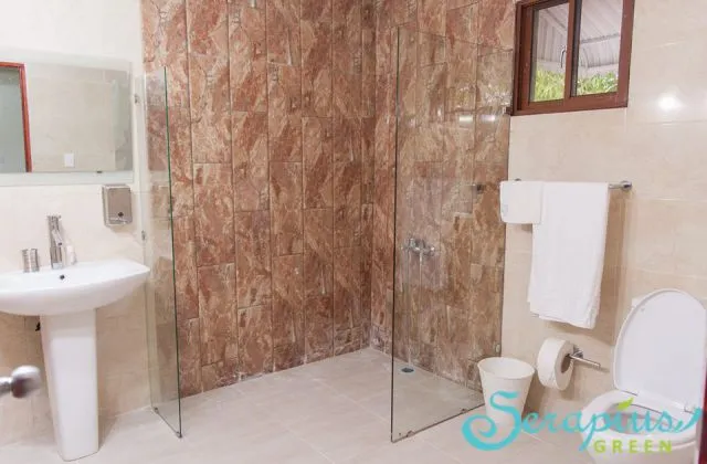 Serapius Green Bathroom with shower